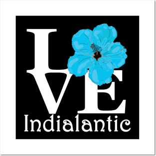 LOVE Indialantic Blue Hibiscus Posters and Art